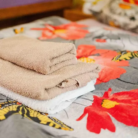 Penzión pre hostí Dominika *